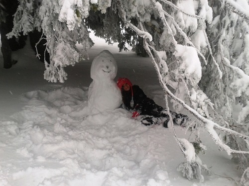 bonhomme de neige sous sapin