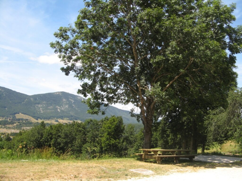 La terrasse de la Ferme