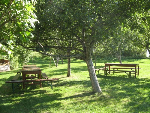 Gite-dejeuner-tables-sous-les-arbres