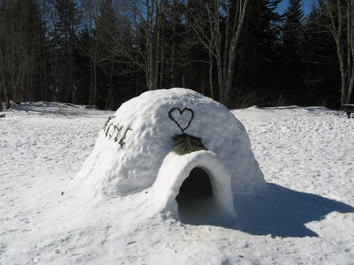 seminaire-igloo