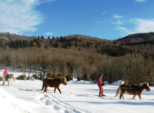 ski-joering-cheval-equitation