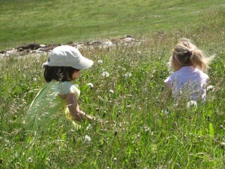 tarif-transhumance-enfants-pre